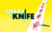 Crazy Knife - Kitchen Chopping Game