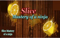 Slice Mastery of a Ninja - Fruit Slicing Game