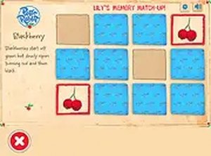 Fruit Pair Recall for Kids