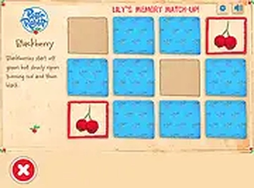 Fruit Pair Recall for Kids