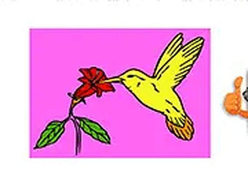 Colorful Bird Art Studio