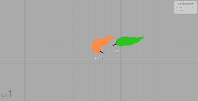 Narwhale Arena Match